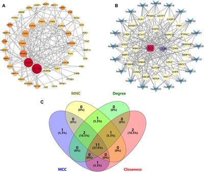 Network pharmacology and molecular docking reveal the mechanisms of curcumin activity against esophageal squamous cell carcinoma
